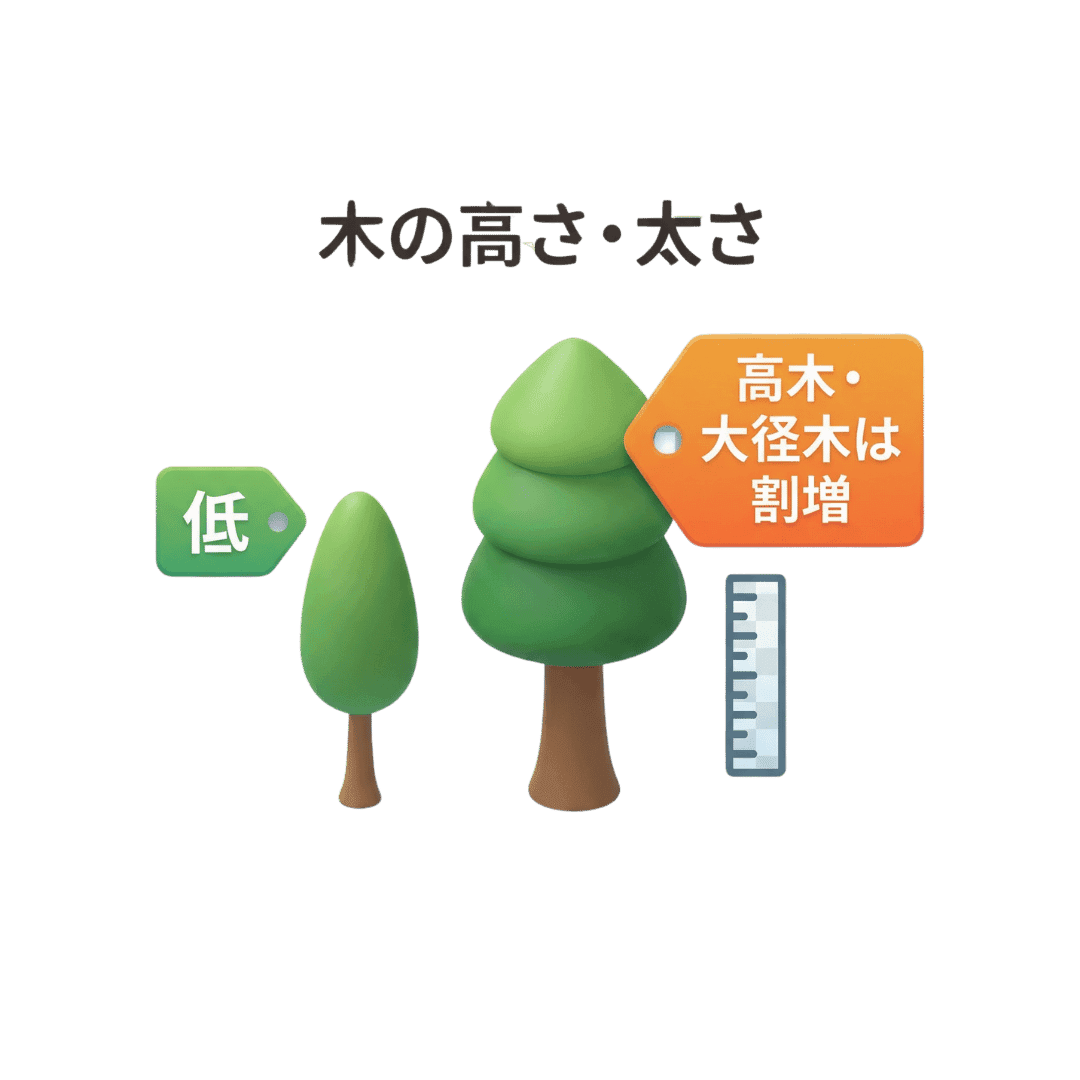 木の高さ・太さ